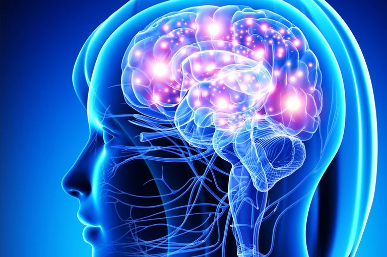 parole crociate fa bene al cervello?