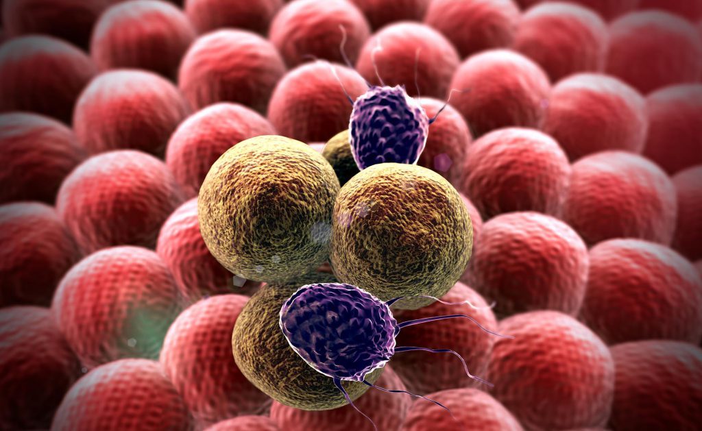 Metastasi: le nuove Terapie e la Ricerca