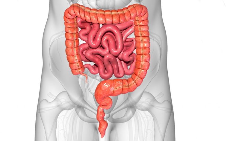 Intestino e Stipsi: le Cause del Disturbo