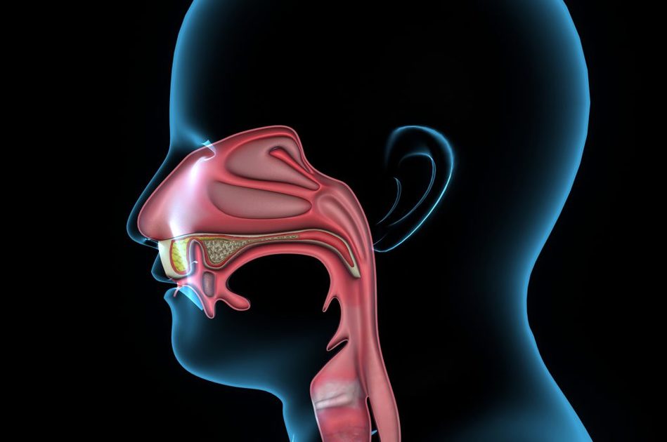 quando andare dal logopedista