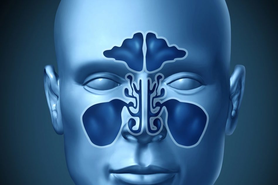 Olfatto: il legame con la salute generale