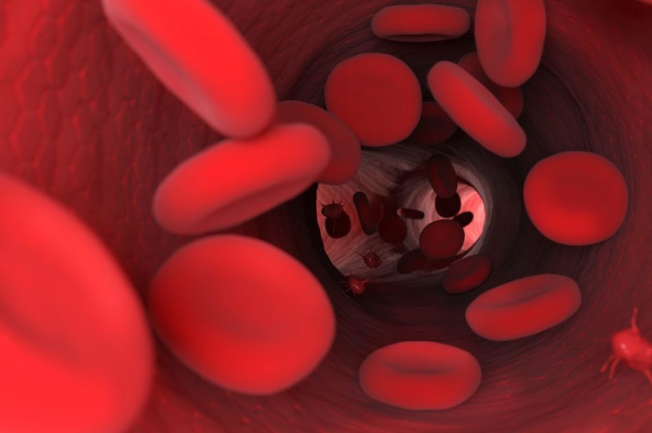 Saturazione di ossigeno nel sangue: valori e misurazione