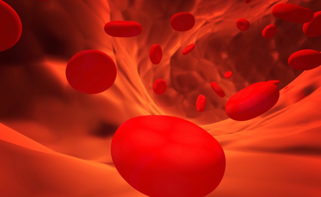 Sideremia bassa: cosa significa?