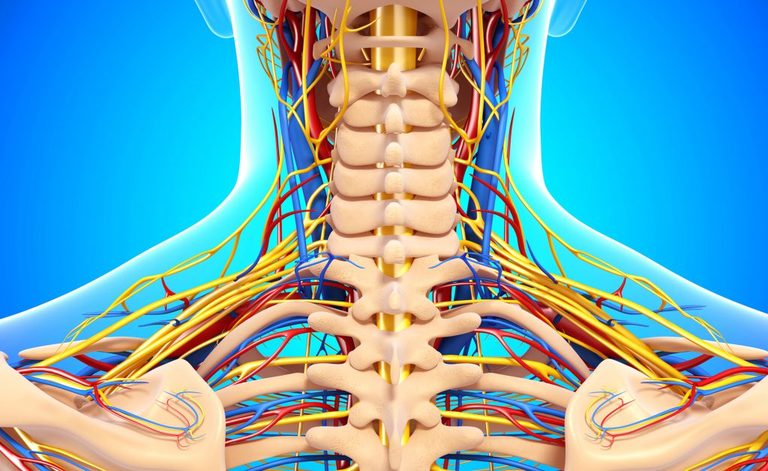 polineuropatia: una lesione dei nervi periferici