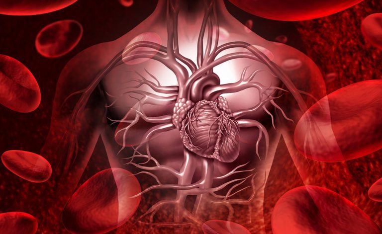 pressione alta negli anziani: è sempre un fattore di rischio?