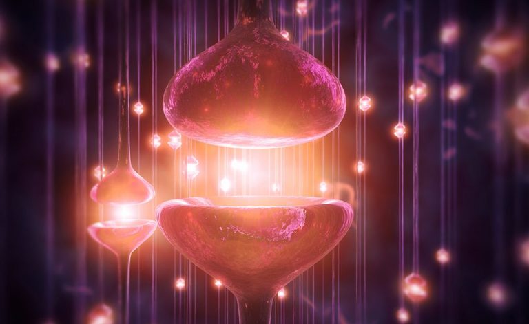 Matrimoni felici: qual è il segreto?