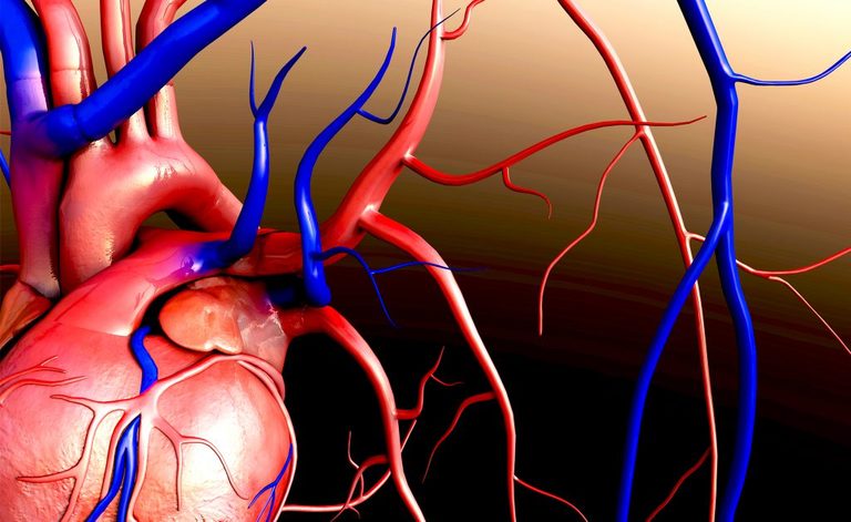 le uova fanno male: la conferma dalla scienza