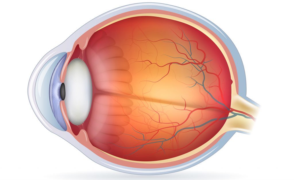 Misurazione della Pressione Oculare