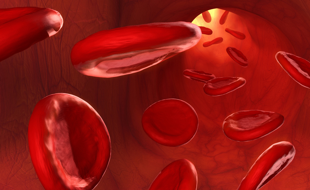 Gruppo 0: le caratteristiche