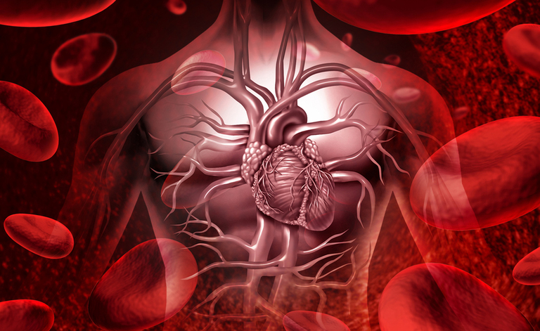 Disturbi del sonno e morte cardiaca improvvisa: il legame