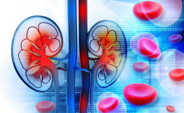 Malattie renali e diabete: il legame