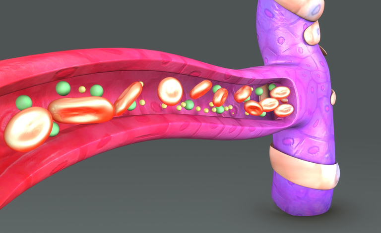Capillari: cure e tipologie