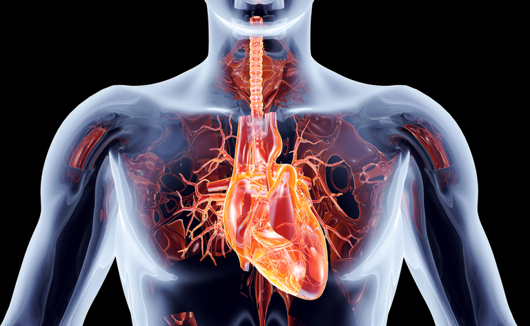 Pacemaker e cosa non fare