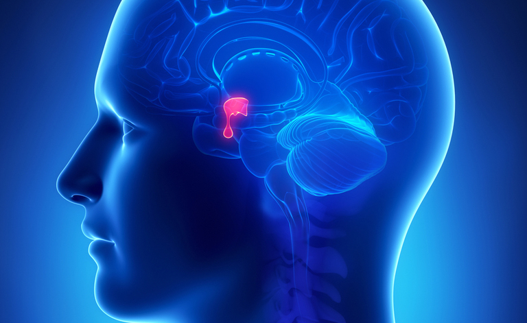Adenoma all'ipofisi: Sintomi e Cure