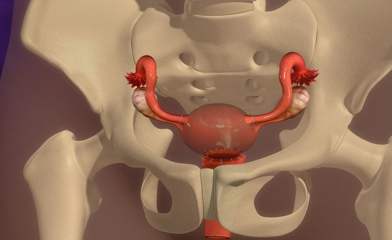 Menopausa: i disturbi legati