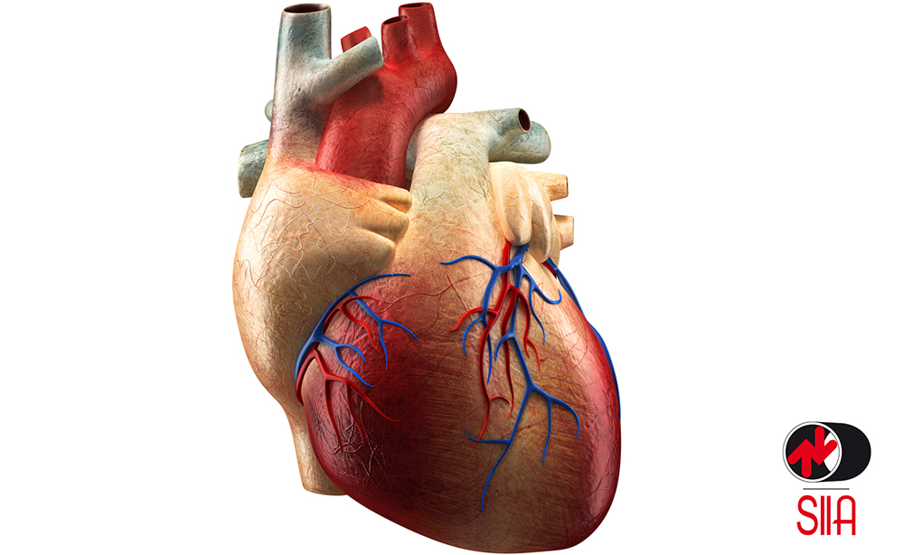 Fibrillazione Atriale: Le Cause e le Cure