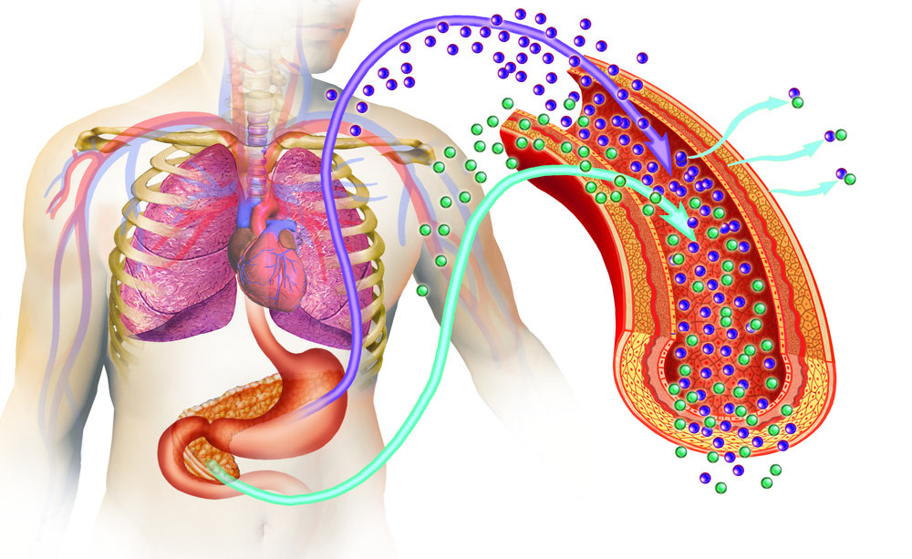 Diabete e Prevenzione a Milano