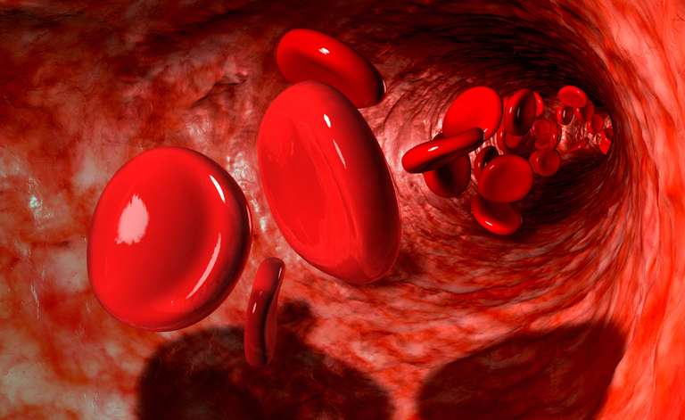 Guida ai gruppi sanguigni