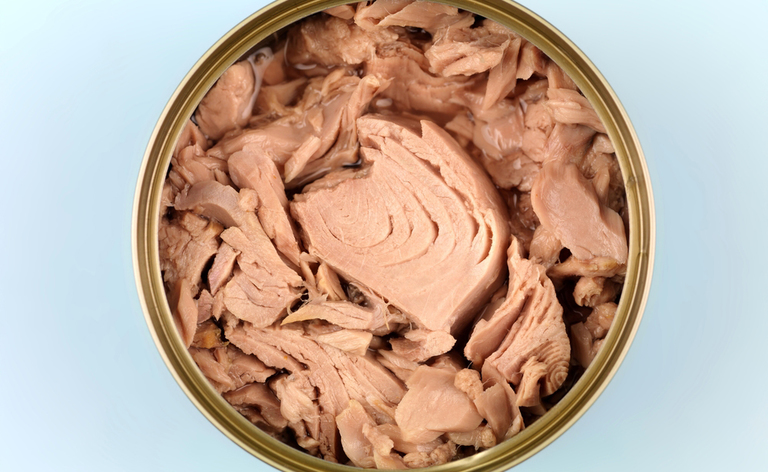 Mangiare il tonno in scatola fa male?