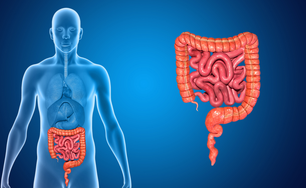 Stomia e Diritti del paziente