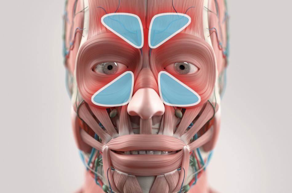 I rimedi per il mal di testa da raffreddore