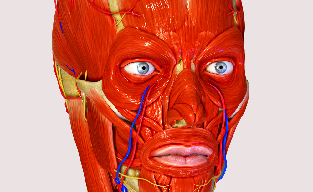 Paralisi di Bell: cause, sintomi e cure