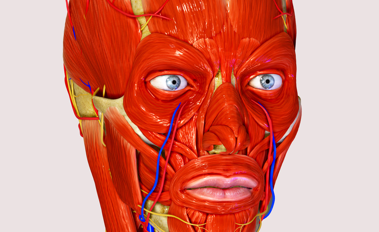Paralisi di Bell: cause, sintomi e cure