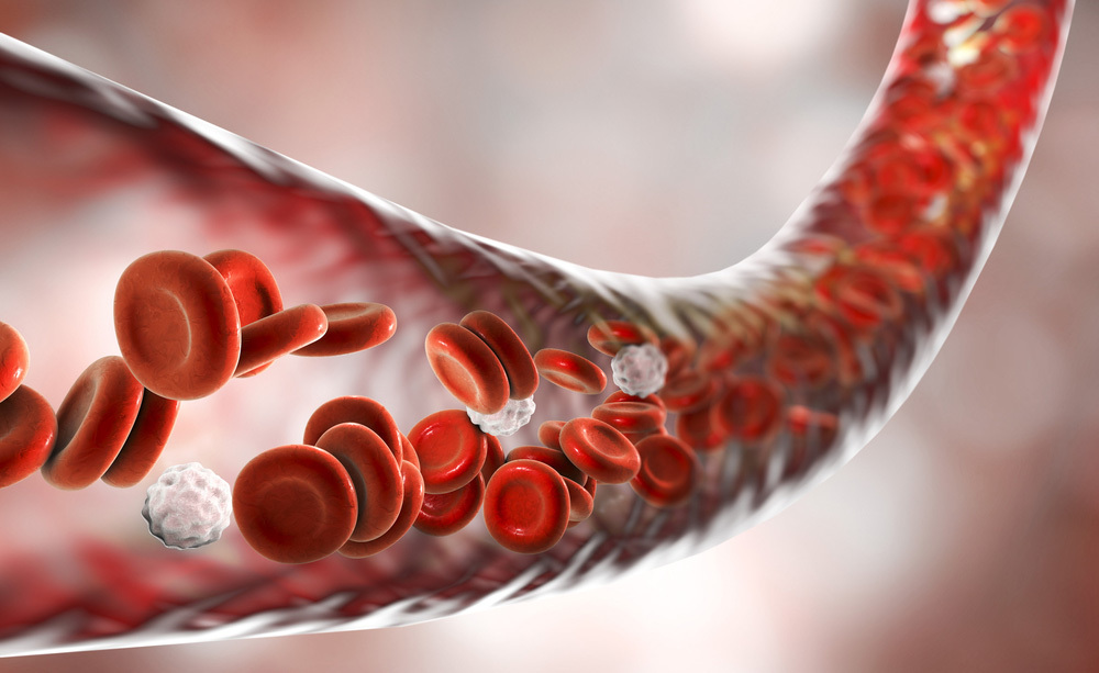 Analisi del Sangue: i Valori da Controllare