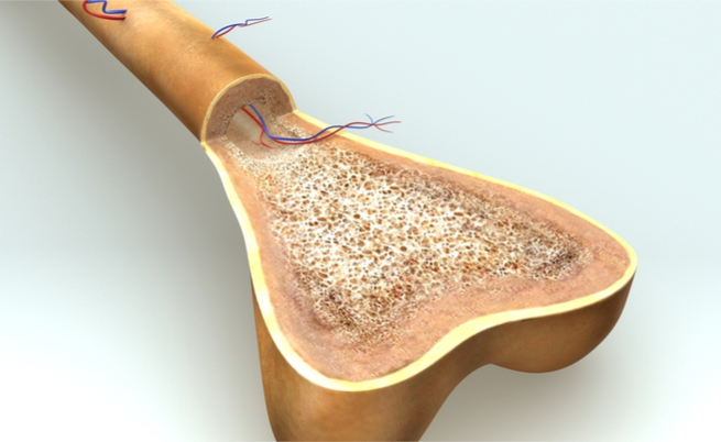 calcio per le ossa: è davvero funzionale?