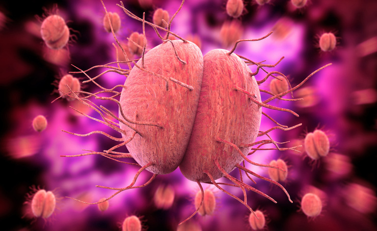 Meningococco e Meningite: i sintomi della malattia