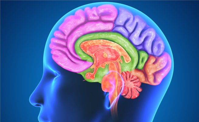 come aumentare la dopamina naturalmente