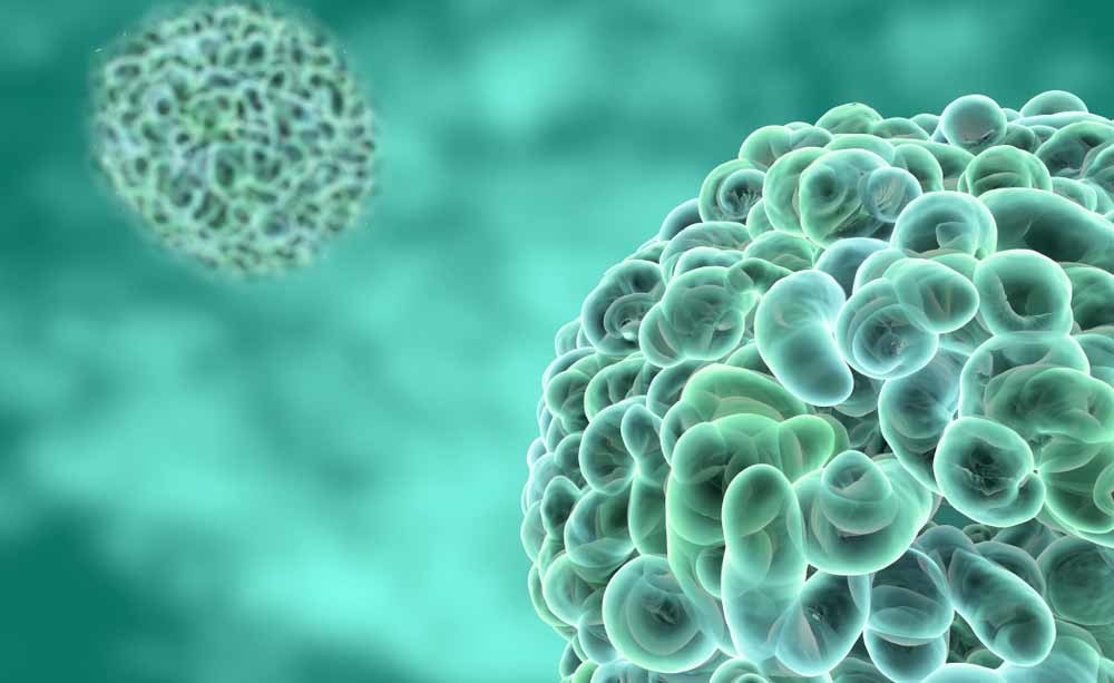 Difese Immunitarie e Vaccini