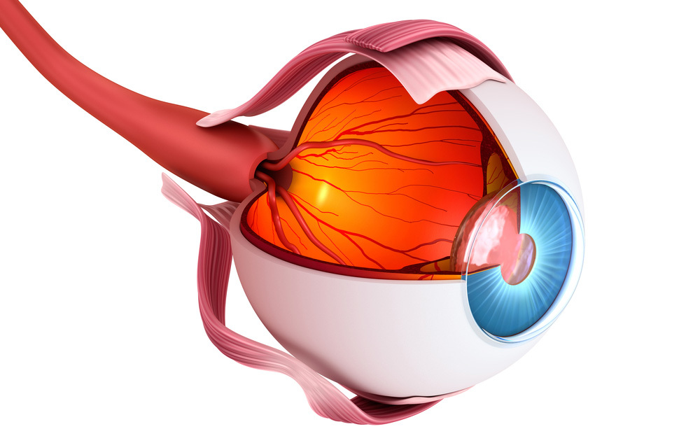 Glaucoma: esami da fare