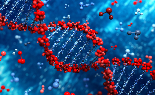 Telefono verde malattie rare: ecco perché è importante mettersi in contatto