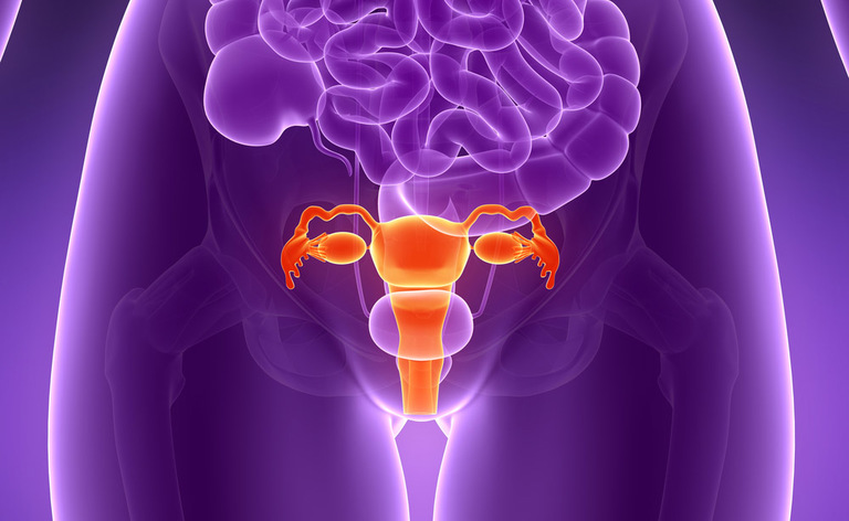 Terapia Laser contro l'Atrofia Vaginale