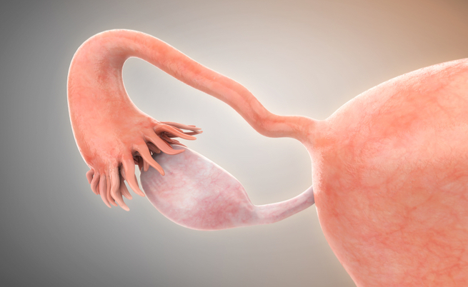 sindrome dell'ovaio policistico e metabolismo: il legame con l'insulino-resistenza