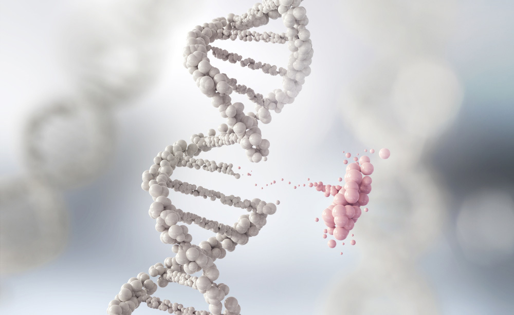 Immunodeficienze Primitive e Ricerca