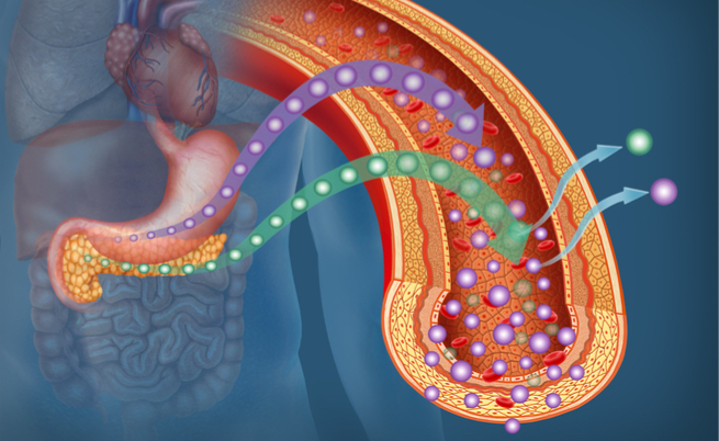 farmaci diabete per ridurre il rischio cardiovascolare