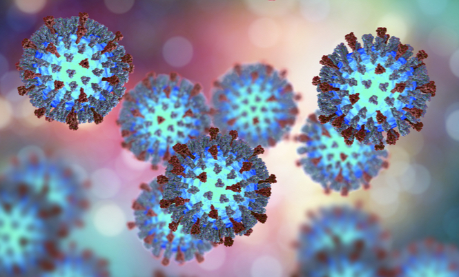 morbillo a bari: nuovi casi