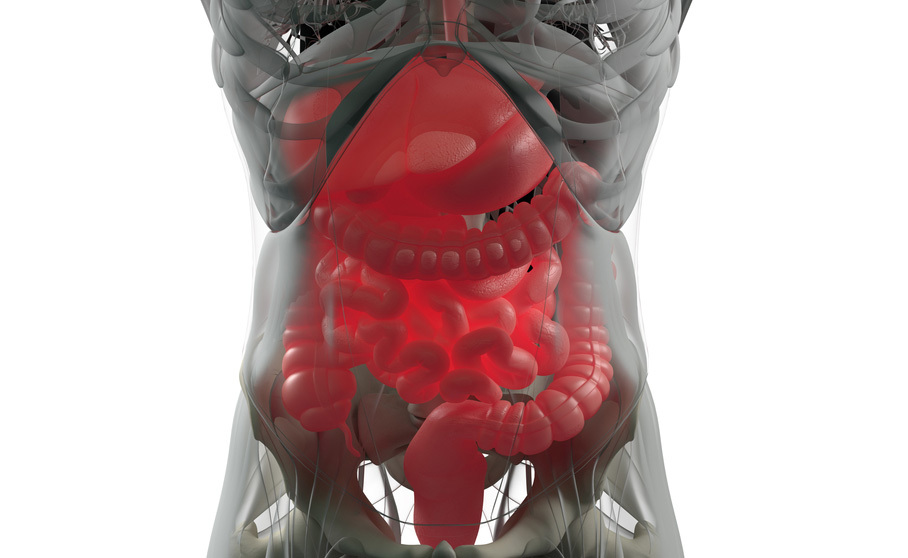 Malattia di Crohn: cosa mangiare