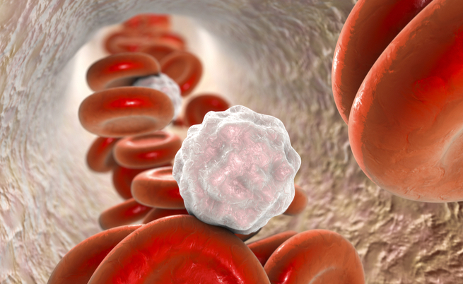 antibiotici rischi: quali sono?