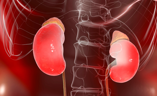 quale acqua scegliere