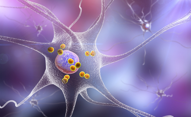 vitamina B e parkinson: il legame