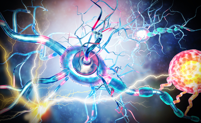 Ocrelizumab: per la cura della sclerosi multipla, efficace e sicuro