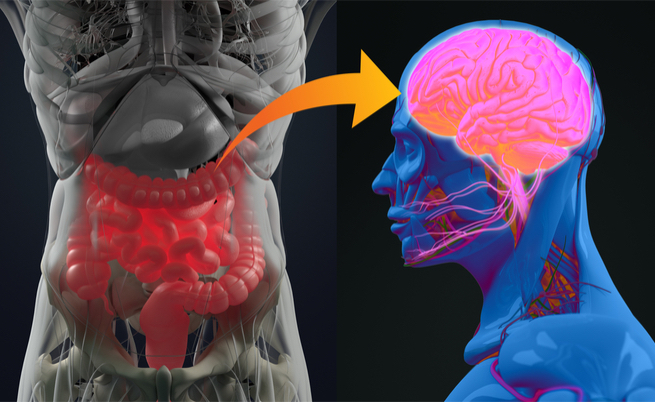 morbo di parkinson e intestino: qual è il legame
