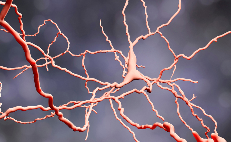 Schizofrenia e Autismo: esiste un Legame?