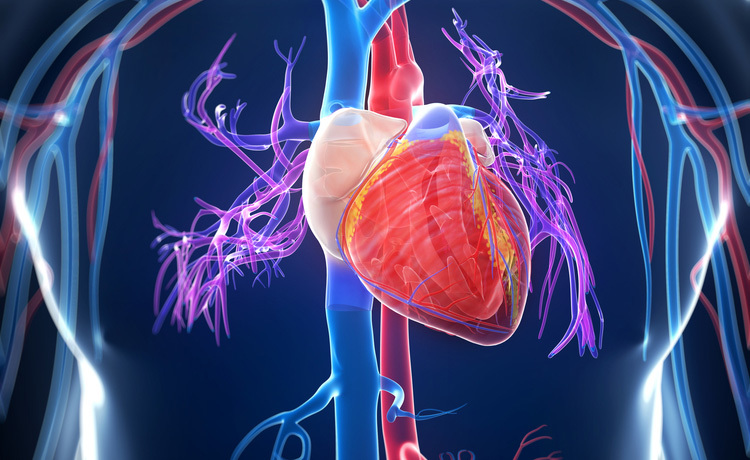Cuore: Giornata Mondiale