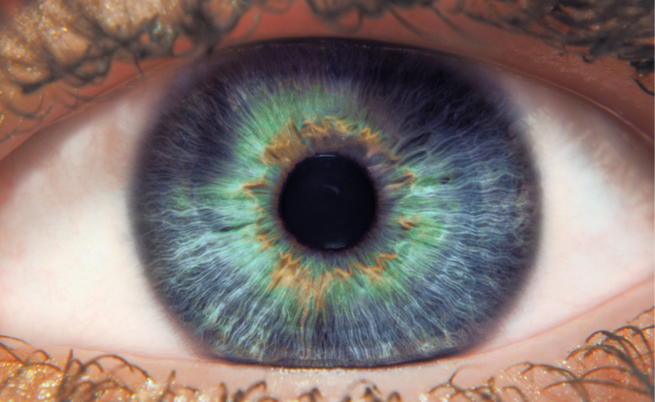 Quali sono i cibi che fanno bene agli occhi?