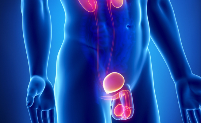 Olio di oliva: tra i rimedi naturali impotenza