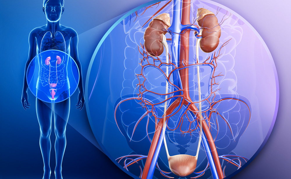 Incontinenza: tutte le Cause